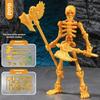 Three-Dimensional Skeleton Action Figure Multi-Articulable Can Movable Skull Model Wearable Multicolor Skeleton Assembly Toys