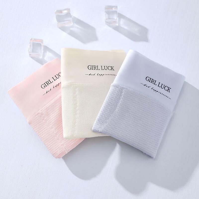 Tingmei Women's Plus Size High-Waist Seamless Briefs Multi-pack