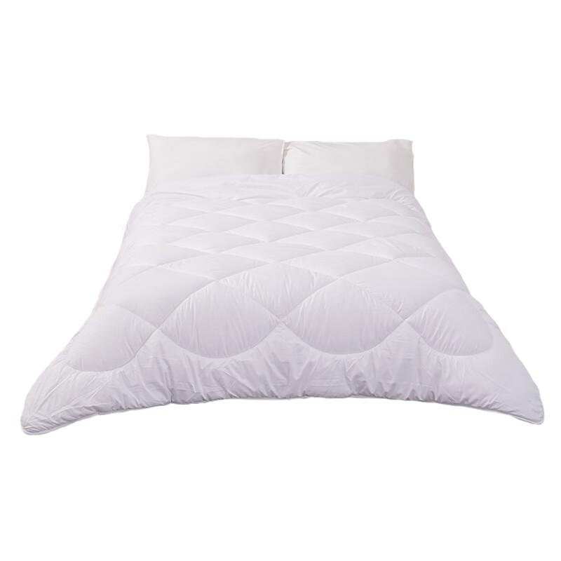Antibacterial Fiber All-Season Quilt