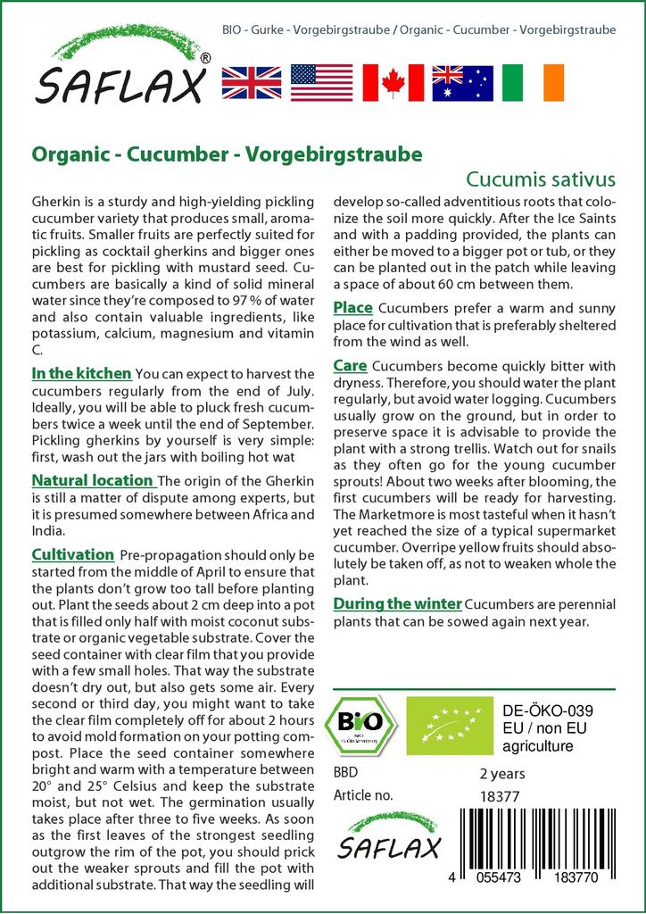 SAFLAX Garden in the Bag - Bio - Okurka - Vorgebirgstraube - 15 semen - Se substrátem v padnoucím sáčku - Cucumis sativus