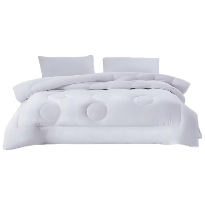 

Mercury Home Textiles Antibacterial All-Season Fiber Quilt