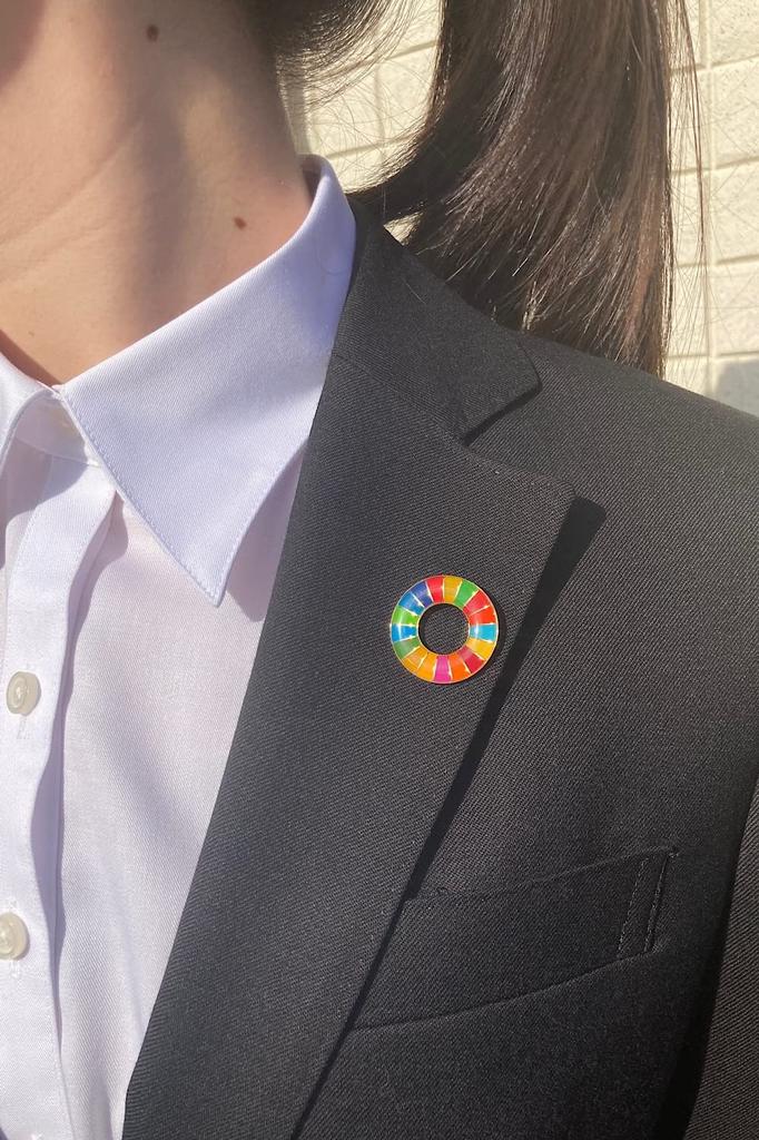 [Official UN SpecificationsInvoice System Compatible] SDG Badge, 25mm, Gold Rounded Finish, SDG Badge Pin, Perfect for Hats and Bags, Cute, Includes
