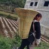 Large Guizhou Bamboo Back Basket for Household Use and Corn Picking