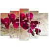 Five Piece Picture Canvas Print Orchid Flowers Pink