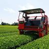 Arahataen Shizuoka Deep Steamed Tea Daichi no Uta Gabu Nomeru 100g Green Leaves Japanese Second Flush Makinohara