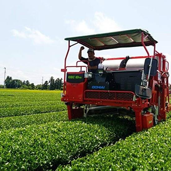 Arahataen Shizuoka Deep Steamed Tea Daichi no Uta Gabu Nomeru 100g Green Leaves Japanese Second Flush Makinohara