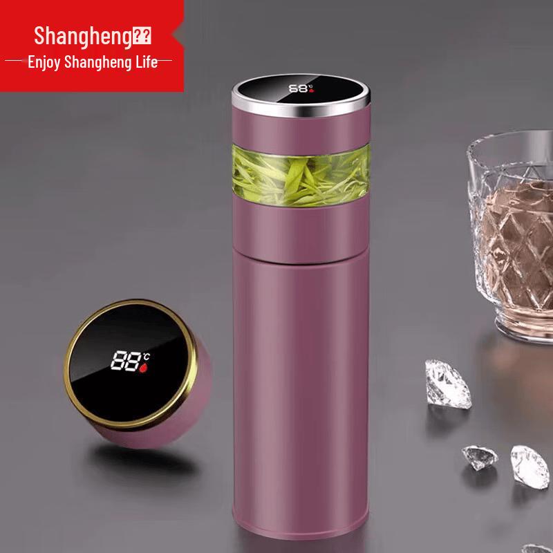 Shangheng Stainless Steel Tea Infuser Thermos Mug with Temperature Display