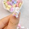 20Pcs New Cute Mini Cartoon Little Rabbit Resin Flatback Ornament Jewelry Making Manicure Hairwear Accessorie
