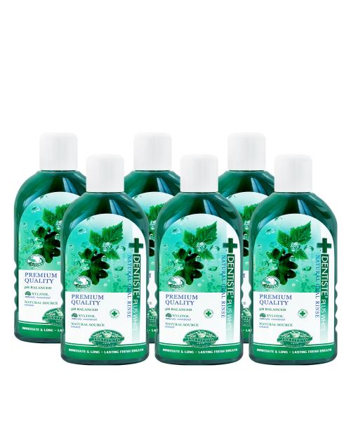 Dentiste Natural Oral Rinse 700ml x 6