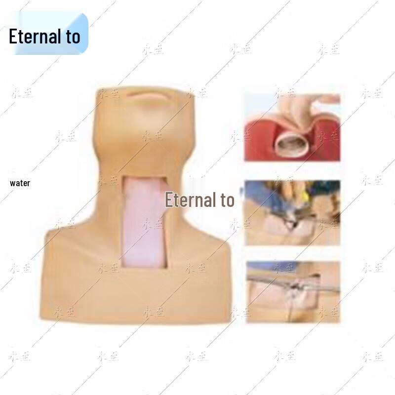 Cricothyroid Membrane Puncture and Tracheotomy Training Model