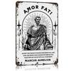 Αρχές Στωικισμού Amor Fati Μεταλλική Αφίσα Μεταλλικό Σήμα Τέχνη Τοίχου Προσαρμόσιμα Μεταλλικά Σημάδια για Διακόσμηση Σπιτιού Πράγματα για Σχεδιασμό Δωματίου