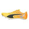 Tokyo Brush 4 Unisex Low Top Training Running Shoes Yellow Black 376998-01