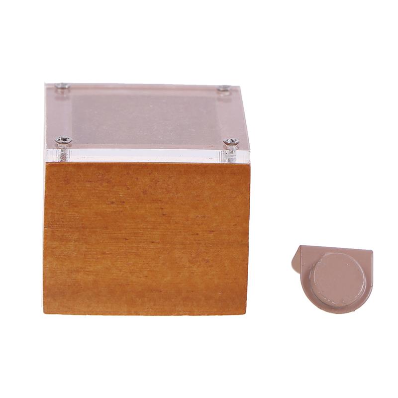 Vorhersagen von Zaubershows, Würfel in der Box, Zaubertipps, Zauberrequisiten, Spielzeug