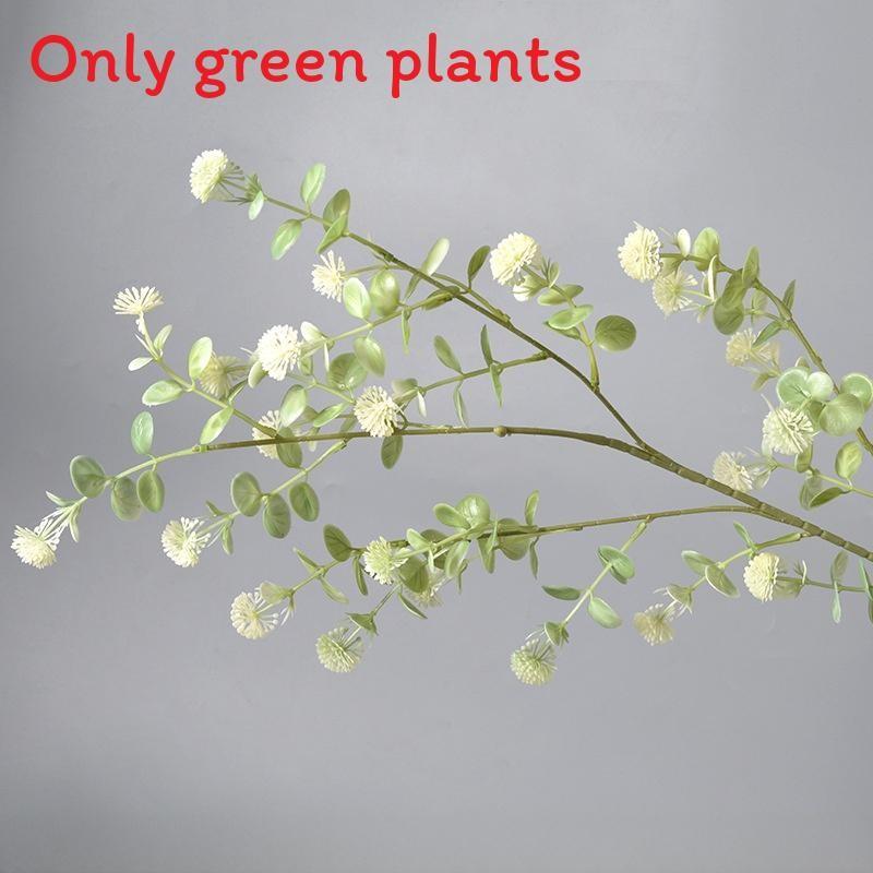 

Deliciosa Liebm Monstera And Eucalyptus Citriodora Hook Green Decor Plants StyleA