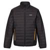 Regatta Mens Wentwood VIII 3 In 1 Waterproof Jacket