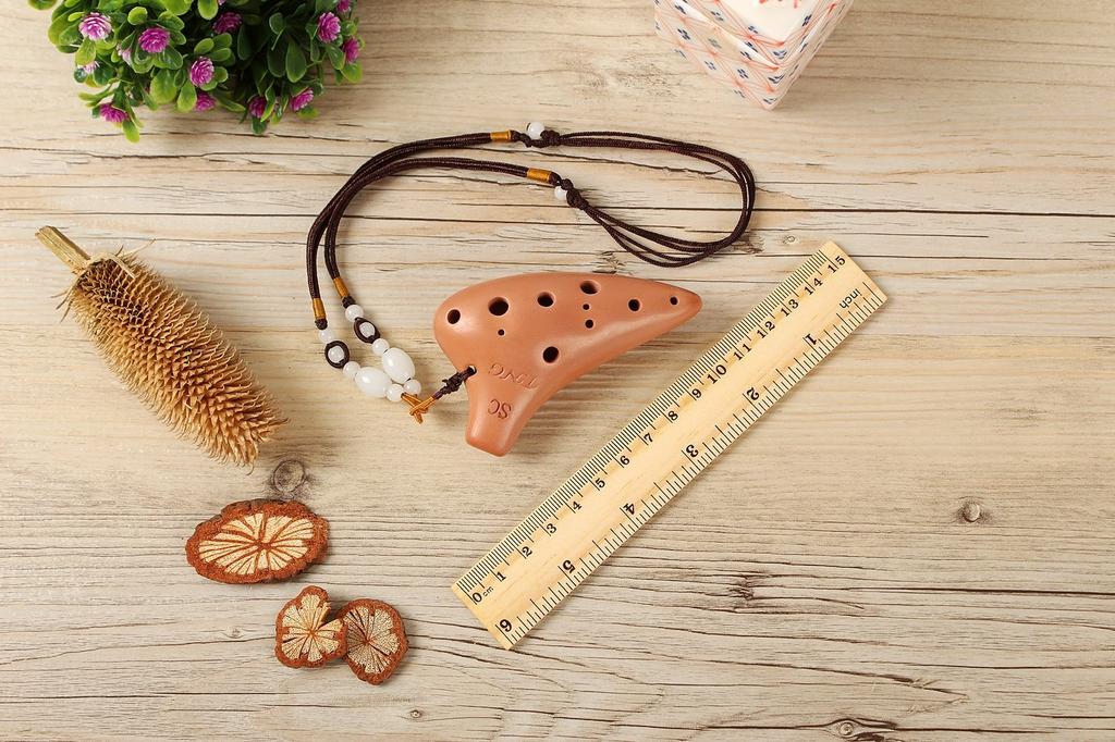 TNG Mini Ocarina [NecklaceBrown12-Hole] Premium Necklace, Single Soprano Ocarina in C Key, for Brass Instruments, Purple Sand