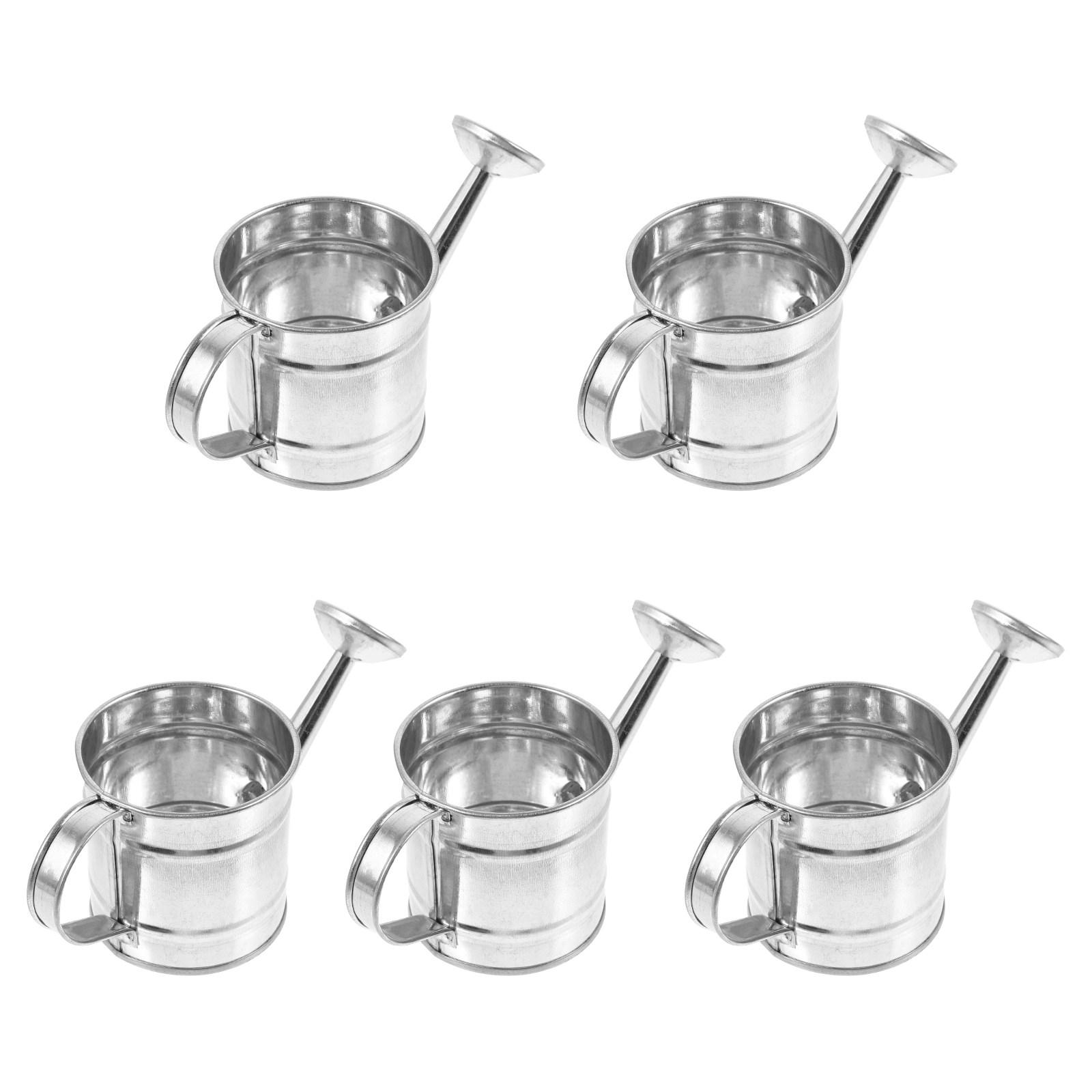 

5Pcs Mini Iron Watering Cans Exquisite Small Watering Pots for Mini House Gardening Micro Garden Decor Creative Accessory