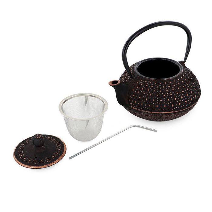 Théière en fonte Sui 0,8 L + 4 pailles en inox