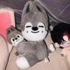 Skzoo  Has Launched A Latest Magnetic Magnet Doll In Various Sizes, Featuring The Same Style As The Celebrity Merchandise