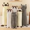 Peluche Chat Île - Longue Poupée Chat Compagnon de Sommeil & Cadeau d'Anniversaire