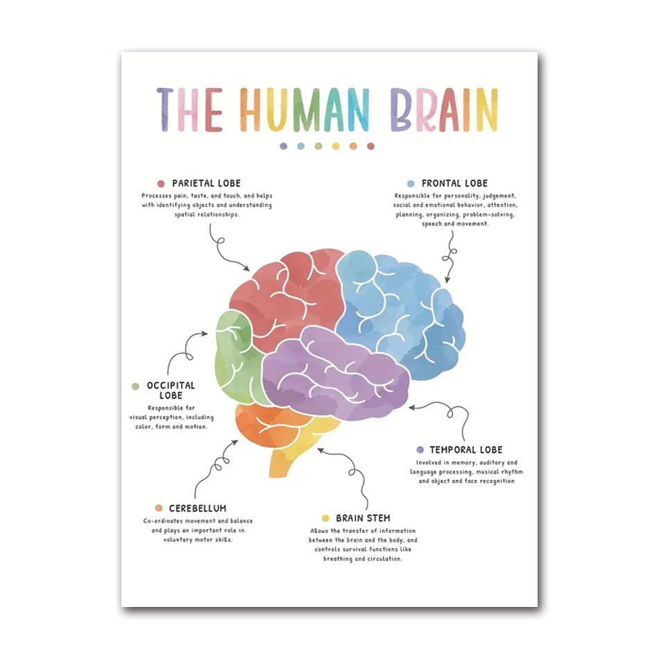Therapy Mental Health Growth Mindset Feeling Chart Psychologist Poster Canvas Painting Nordic Wall Art Pictures Home Decor