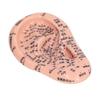 6.7in Ear Acupuncture Model Silicone Engraving Ear Massage Acupuncture Model for Home Laboratory