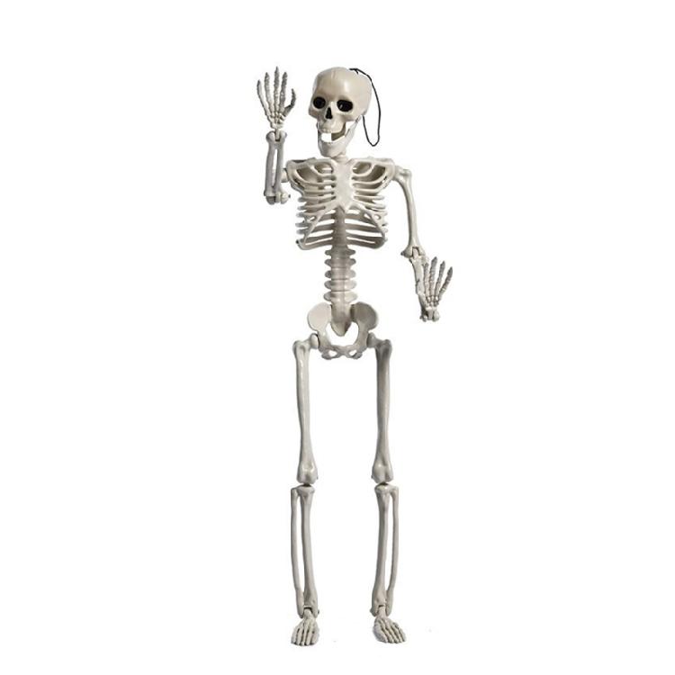 Full Body Mini Skeleton Spooky Plastic Skeleton for Yard Garden Lawn Haunted