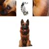 Oreiller Chien Simulation 3D Créatif, Jouet en Peluche Animal en Peluche Pour Enfants, Tissu Peluche Court, Remplissage Coton Pp, Tailles et Couleurs Variées