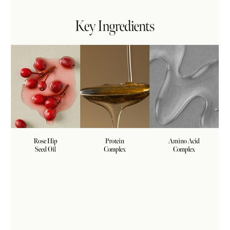 anillO - Rosy Night Repair Ampoule Treatment