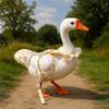 Cartoon Cute Pet Duck Diaper Wearable Reusable Goose Breast Strap Adjustable Reduce Odor Chicken Diapers Pet Supplies