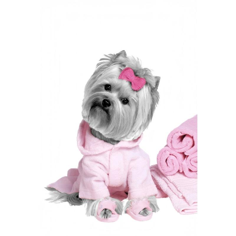 

Мультяшный Абстрактный Милый Модный Наряд Щенок Йоркширский Постер Холст Живопись Печать Искусство Картинки Дом Комната Настенный Декор Подарок 21cm×30cm NoFrame