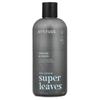 ATTITUDE, Super Leaves™, Shower Gel, For Men, Eucalyptus & Sage, 14 Fl Oz (415 Ml), 2-Pack