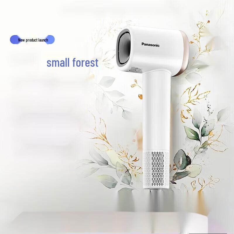 Panasonic EH-NE6L High-Speed Negative Ion Hair Dryer CN plug (adapter included)