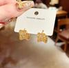 Elegant Geometric Zircon Twist Earrings for Women