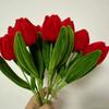 Chenille Stem Tulip Bouquet Kit, DIY Pipe Cleaner Flowers Craft, Creative Gift for Mom Wife Girlfriend