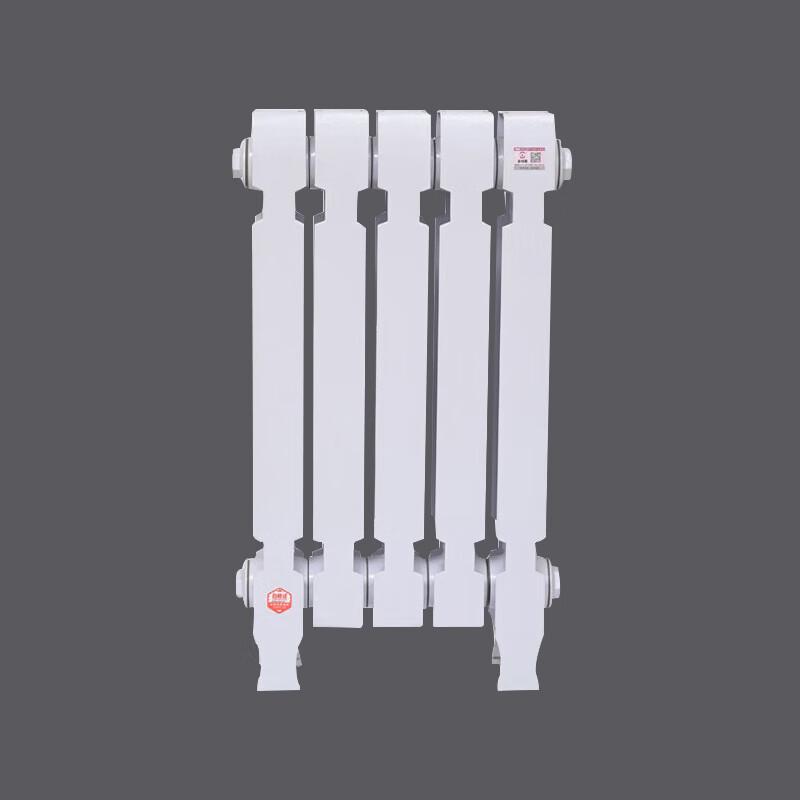 Lixing TZY2-6-8 Cast Iron Radiator
