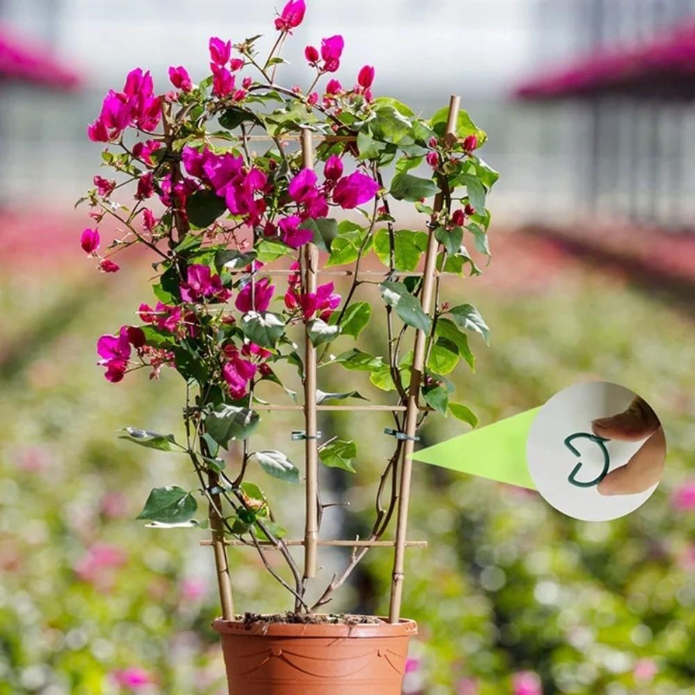 100PCS New Green Garden Plant Clips Plastic Ring Bundle Vertical Plant Holder Vine Holder Plant Clamp For Vegetable Growing