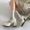 Black French retro thick heel high heels women's summer 2025 new with skirt versatile light mouth Mary Jane single shoes