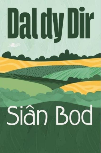 Dal dy Dir by Sian Williams Paperback Book 9781800996878
