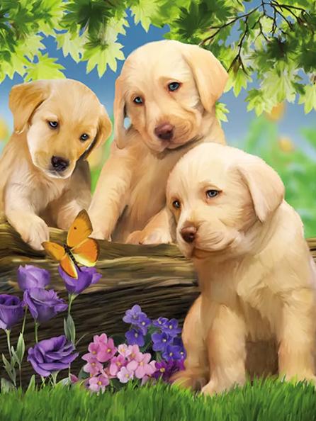 DIY Katze Diamantmalerei Hund Stickerei Tier Mosaik Bauernhof Neuankömmling Voll Quadratisch Rund Kreuzstich Handgefertigt Hobby