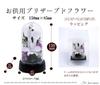 Art Four Seasons Mini Color Mini Dome White Preserved Flowers