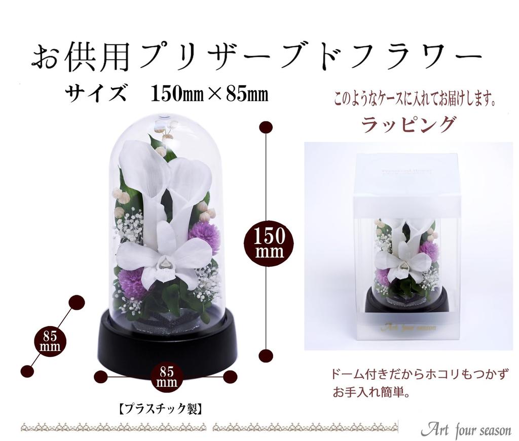 Art Four Seasons Mini Color Mini Dome White Preserved Flowers