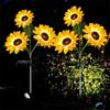 Artificial Night Lights Simulation Landscape Lamp Home Decoration Flower Light  Home