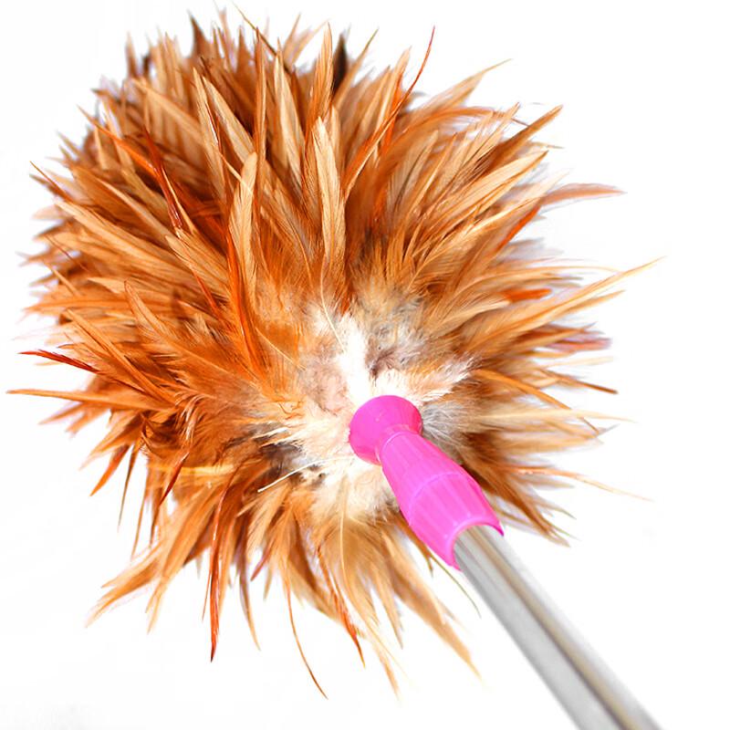 JNL N57840 Telescopic Feather Duster