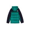 The North Face Urban Exploration Down Jacket Winter Men's Green NF0A4QYX-NL1