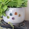 20Pc Luminous Amphibian Figurines - Vibrant Resin Ornaments Luminous  Frog Figurines For Dashboard Garden, And Terrarium Decor