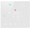 Leo White Wifi Programmable Controller