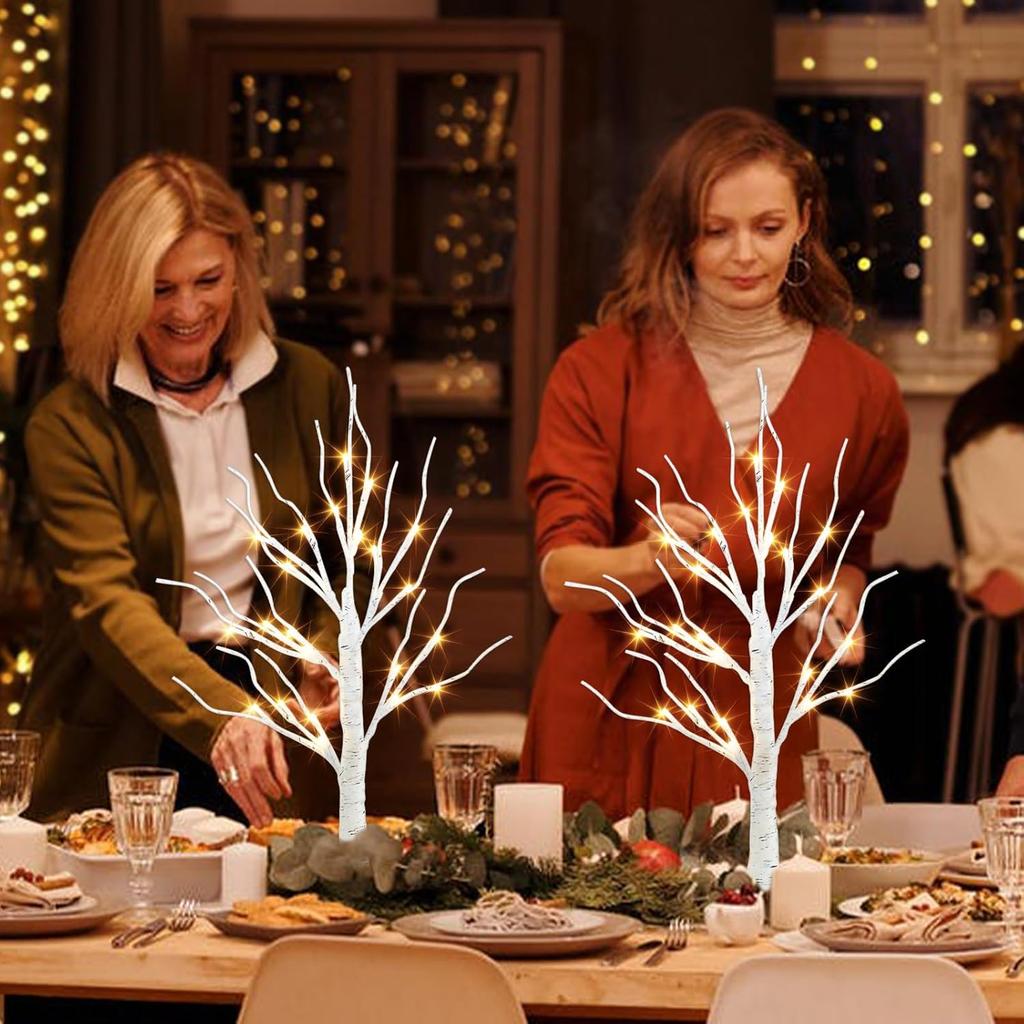 PEIDUO Christmas Decorations Indoor, 2 FT Birch Tree with LED Lights, Fairy Light Spirit Tree for Christmas Decor, Warm White Lighted Birch Trees for