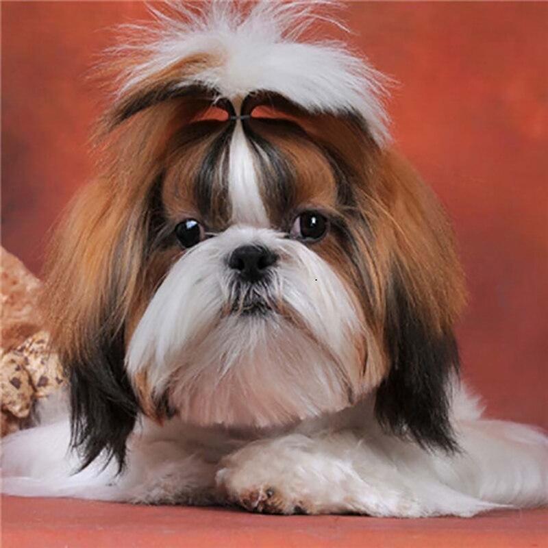 5D diamantmaleri helrund harpiks Hunder Diamantkunst Korssting Mosaikk Dyr Rhinestones Bilder Hjemdekorasjon