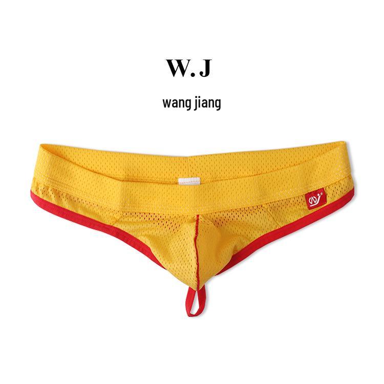 Men's Low-Rise Mesh Thongs - Breathable Nylon Lingerie